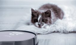 Amibot H20 - robot aspirateur laveur - chat